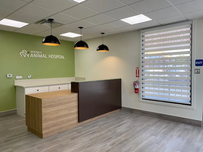 Norwalk Animal Hospital Picture 9