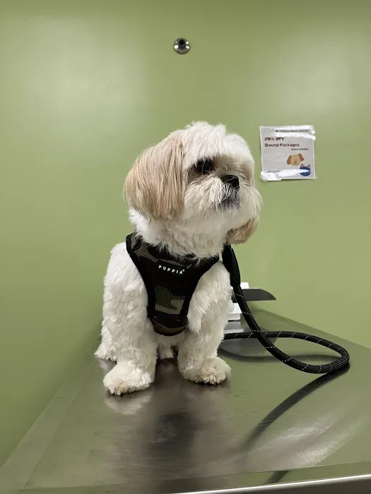 Norwalk Animal Hospital Picture 6