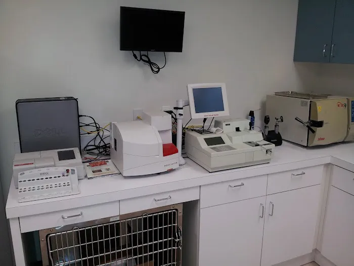 JH Animal Hospital Picture 2
