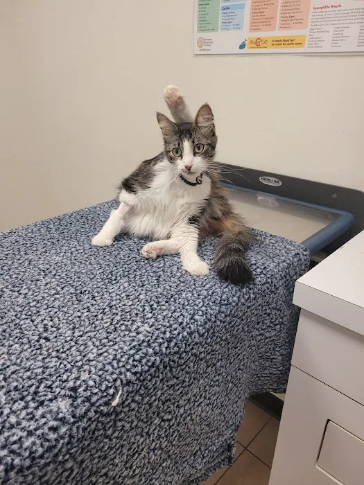 JH Animal Hospital Picture 3