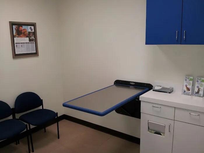 JH Animal Hospital Picture 6