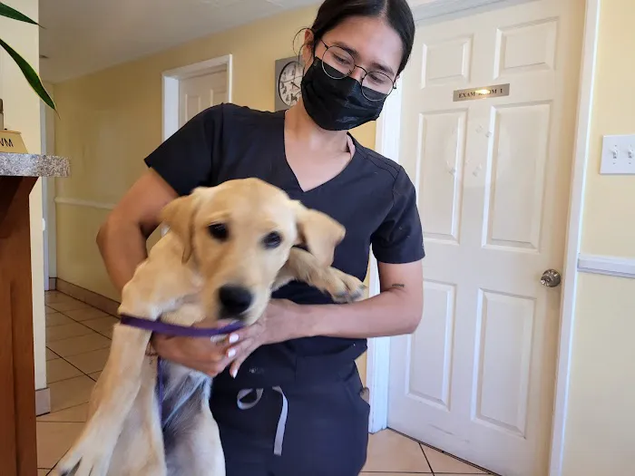 Bellflower Pet Hospital & Hotel Picture 5