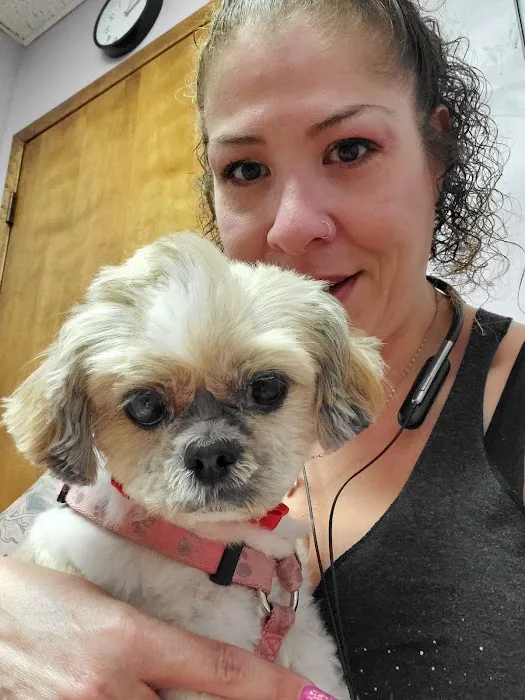 Uptown Animal Hospital Inc Picture 2