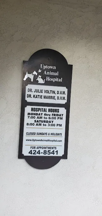 Uptown Animal Hospital Inc Picture 1
