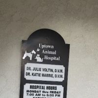 Uptown Animal Hospital Inc ico