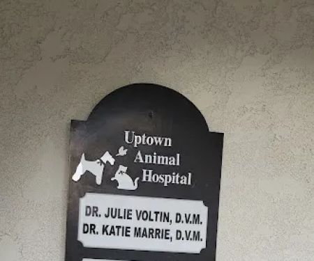 Uptown Animal Hospital Inc