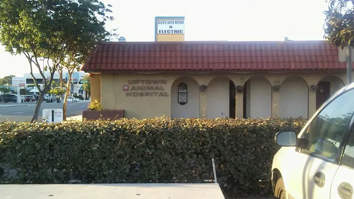 Uptown Animal Hospital Inc Picture 9