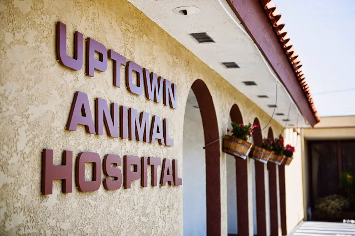 Uptown Animal Hospital Inc Picture 10