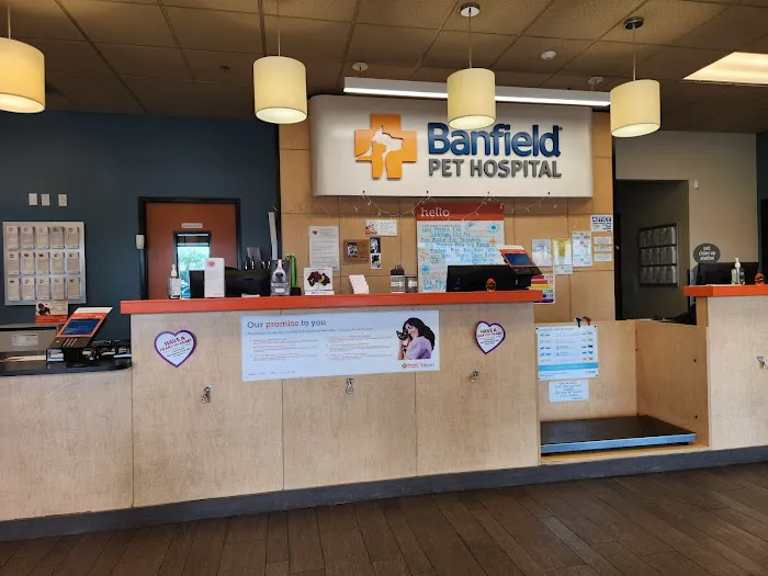 Banfield Pet Hospital Picture 8