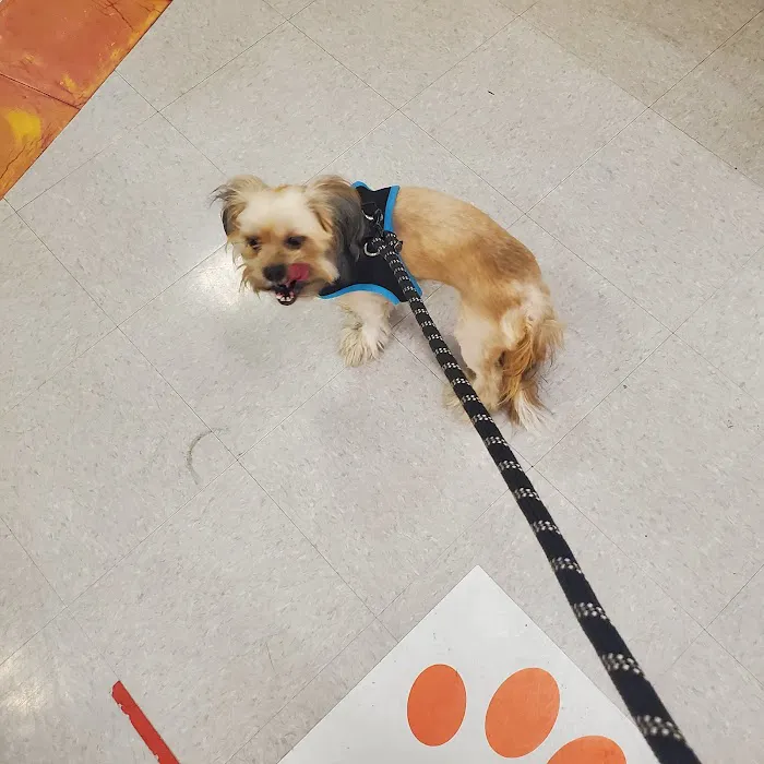 Banfield Pet Hospital Picture 4