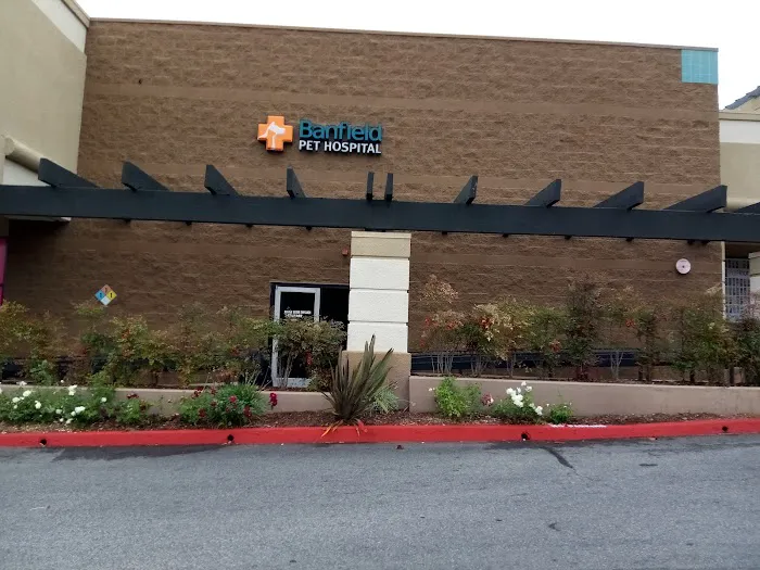 Banfield Pet Hospital Picture 9