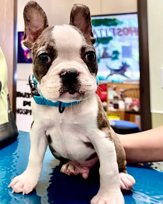 Parkview Pet Hospital - Long Beach Picture 5