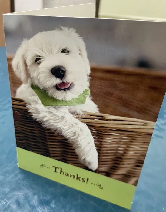 Parkview Pet Hospital - Long Beach Picture 6