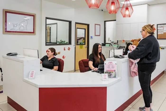 Lakewood Pet Vet Picture 5