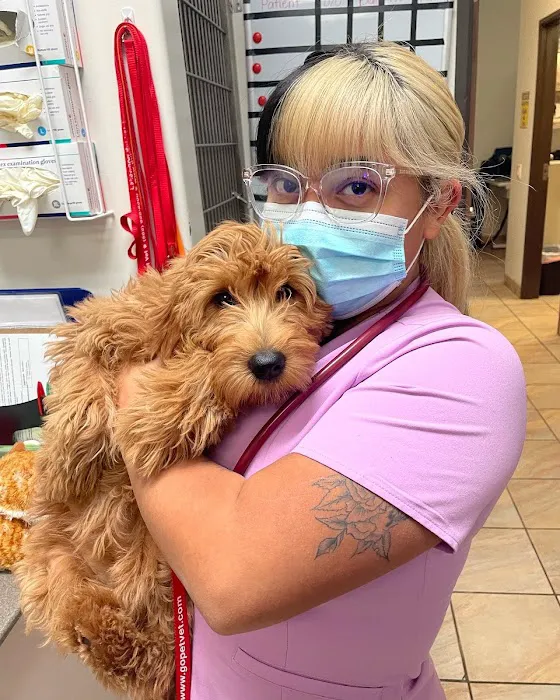Lakewood Pet Vet Picture 7