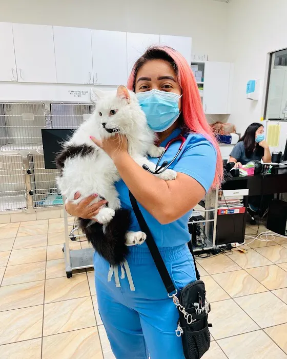 Lakewood Pet Vet Picture 6