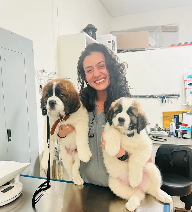 Lakewood Pet Vet Picture 9