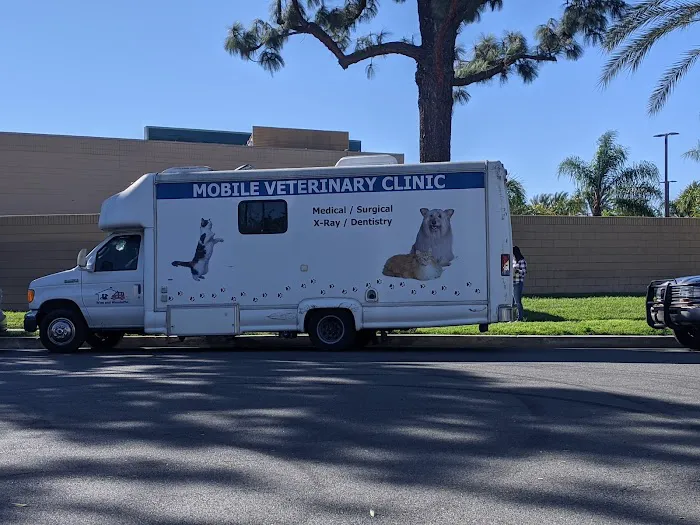 Mobile veterinary clinic Picture 1
