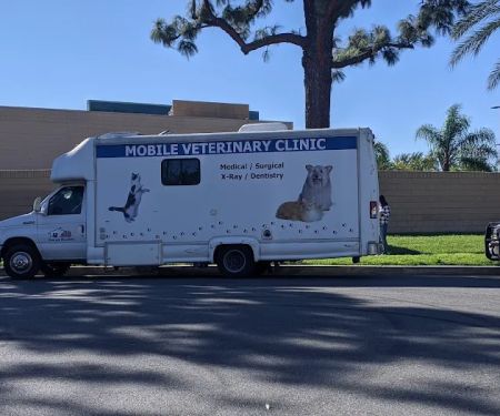 Mobile veterinary clinic
