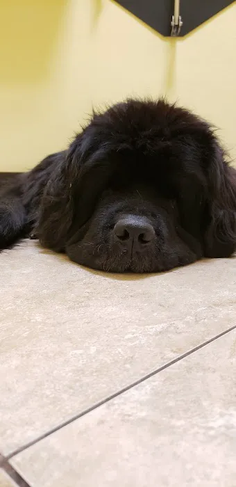 Harbor Pines Veterinary Center Picture 6