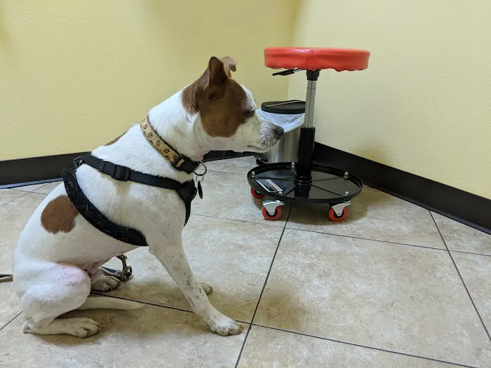 Harbor Pines Veterinary Center Picture 1