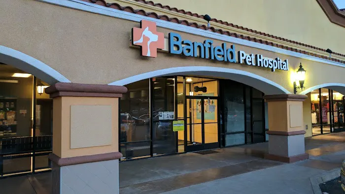 Banfield Pet Hospital Picture 1