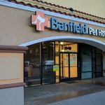 Banfield Pet Hospital