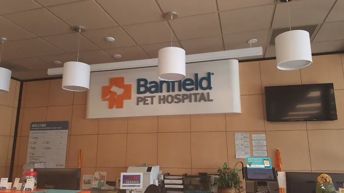 Banfield Pet Hospital Picture 6