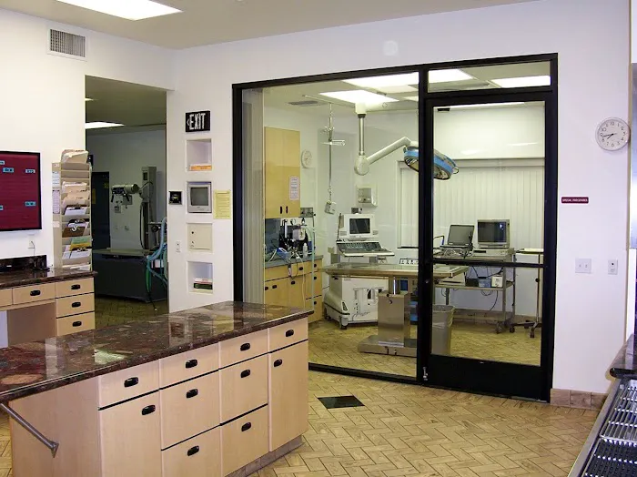 All Pets Veterinary Hospital Picture 1