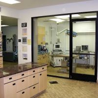 All Pets Veterinary Hospital ico