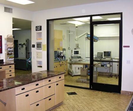 All Pets Veterinary Hospital