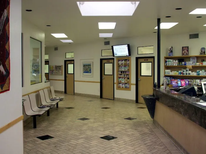 All Pets Veterinary Hospital Picture 3