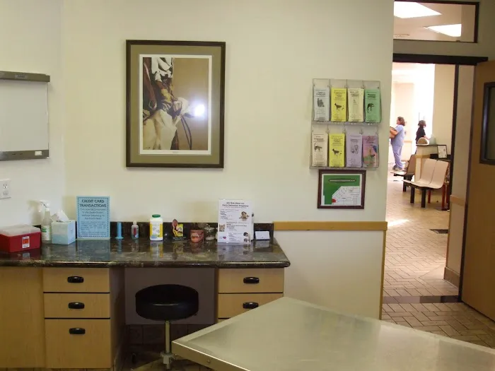 All Pets Veterinary Hospital Picture 8