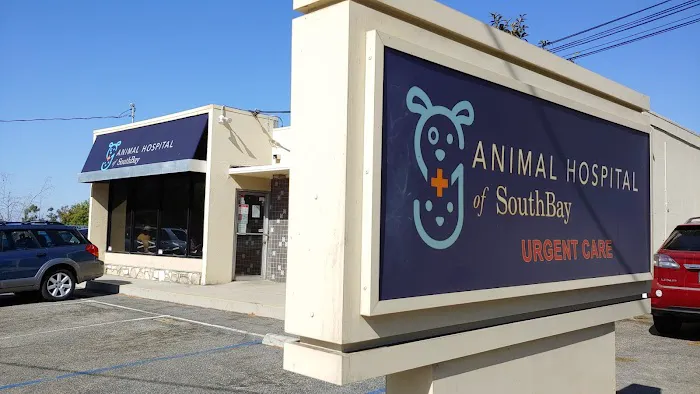 Animal Hospital of South Bay - Rolling Hills Picture 5