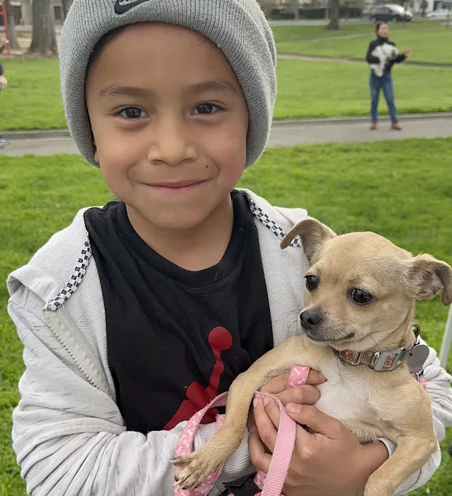 CAMP Clinic San Pedro (spay/neuter) Picture 8