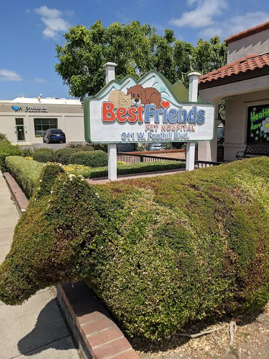 Best Friends Pet Hospital Picture 4