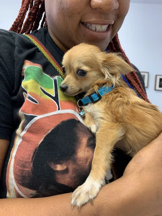Best Friends Pet Hospital Picture 7