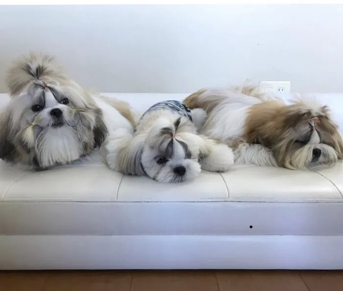 Best Friends Pet Hospital Picture 9