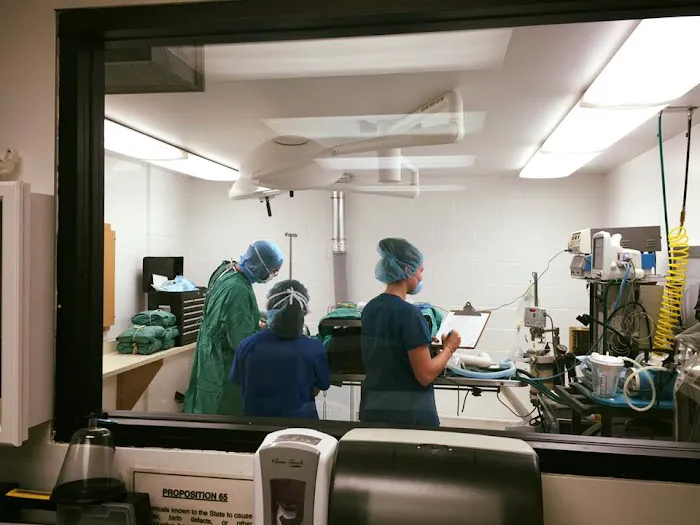 Banfield Pet Hospital Picture 5