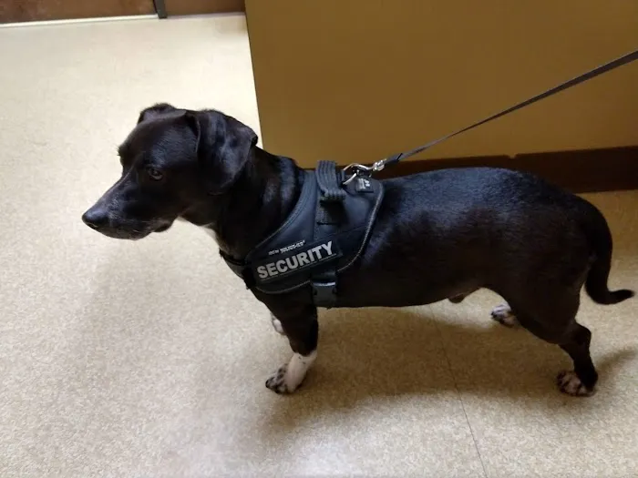 Banfield Pet Hospital Picture 1