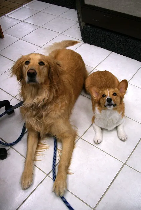 Banfield Pet Hospital Picture 2