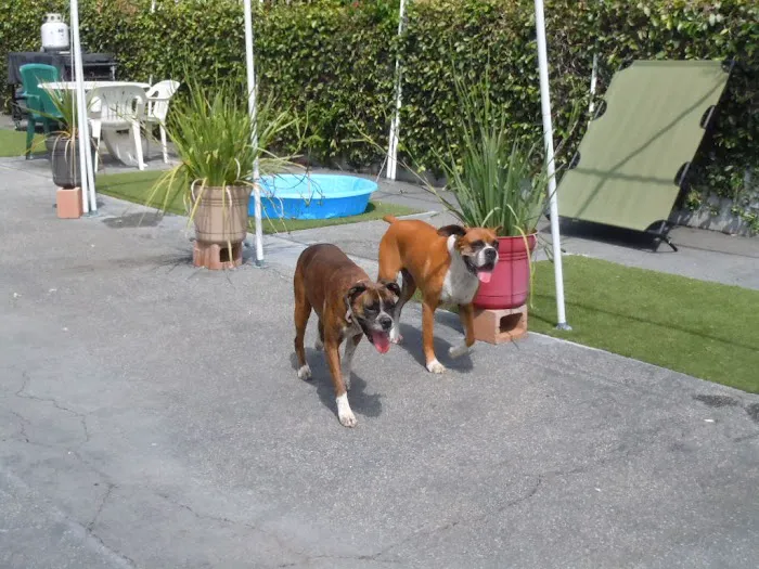 Banfield Pet Hospital Picture 8