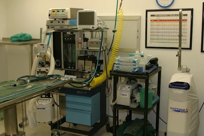 Banfield Pet Hospital Picture 9