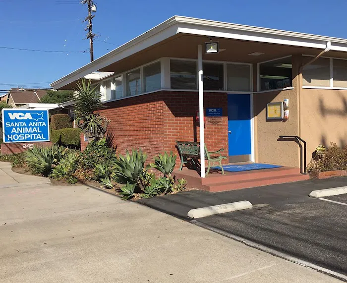 VCA Santa Anita Animal Hospital Picture 7