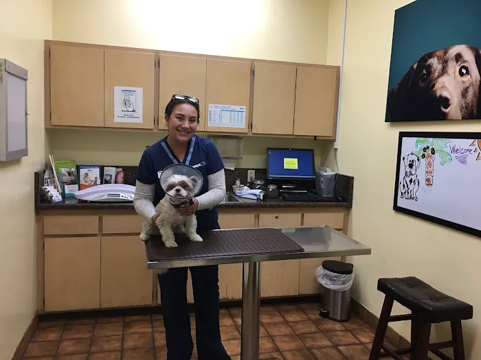 VCA Santa Anita Animal Hospital Picture 4