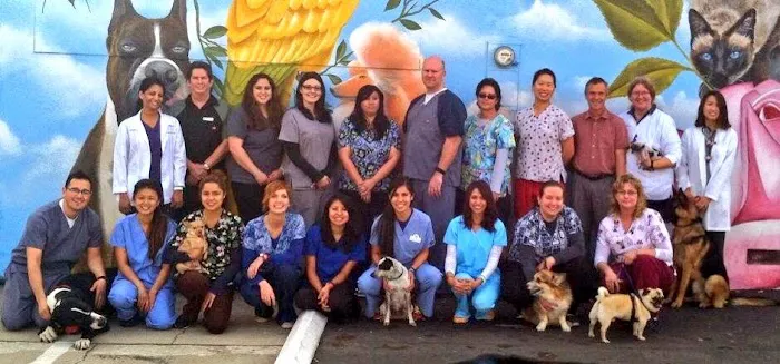 Temple City Animal Hospital Picture 5