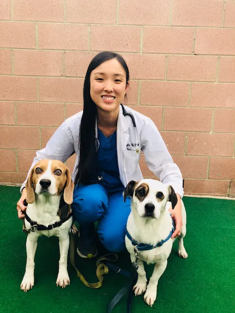 Temple City Animal Hospital Picture 8