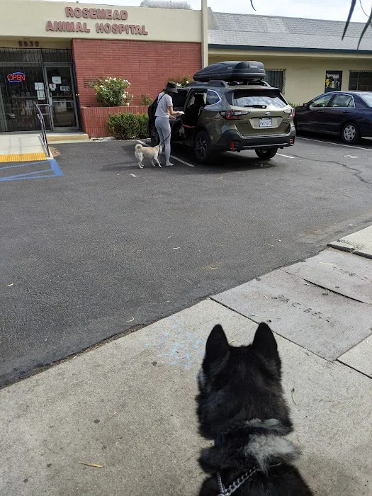 Rosemead Animal Hospital Picture 5
