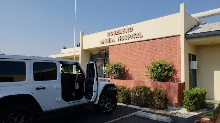 Rosemead Animal Hospital Picture 9