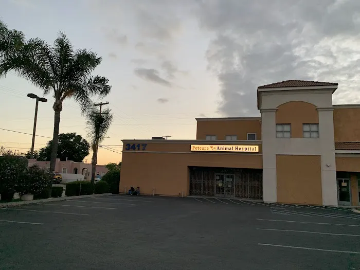 Pet Care Animal Hospital Picture 2